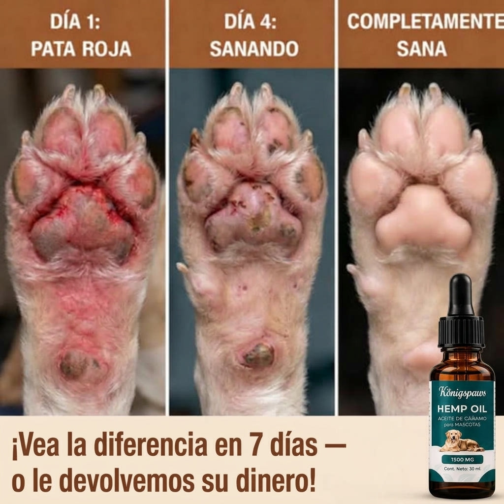 Fórmula Veterinaria Natural para Eliminar Hongos en Perros.