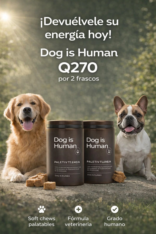 Dog is Human Multivitamínico Diario para Perros