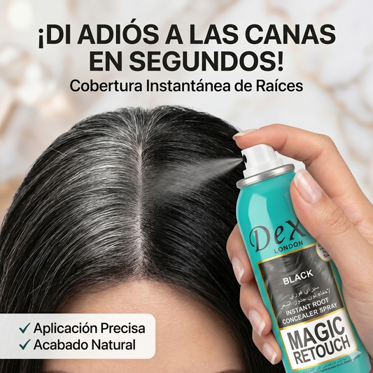 SPRAY RETOCADOR DE CANAS