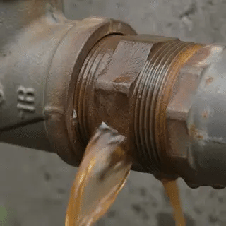 SealFix: protección instantánea