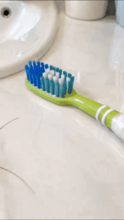 Tus cepillos de dientes pueden estar llenos de gérmenes invisibles.
